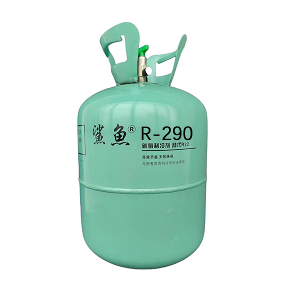 R290 ̼